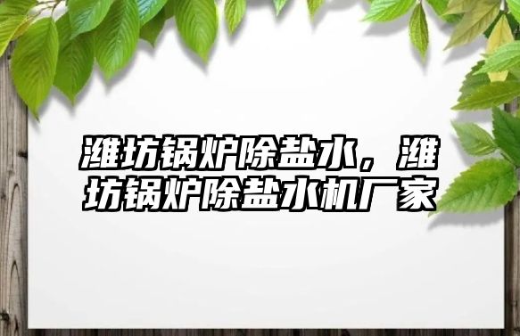 濰坊鍋爐除鹽水，濰坊鍋爐除鹽水機廠家