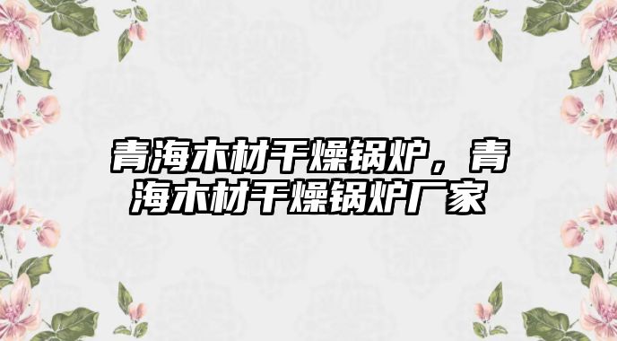 青海木材干燥鍋爐，青海木材干燥鍋爐廠家