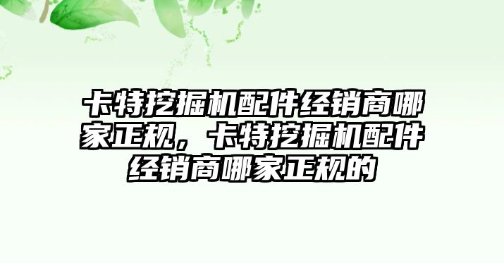 卡特挖掘機配件經(jīng)銷商哪家正規(guī)，卡特挖掘機配件經(jīng)銷商哪家正規(guī)的