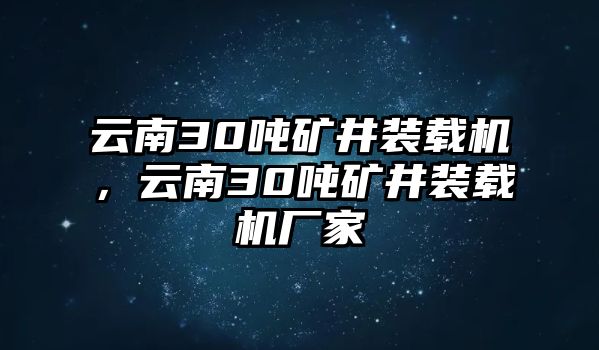 云南30噸礦井裝載機，云南30噸礦井裝載機廠家