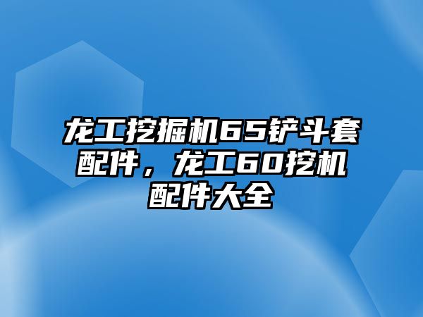 龍工挖掘機(jī)65鏟斗套配件，龍工60挖機(jī)配件大全