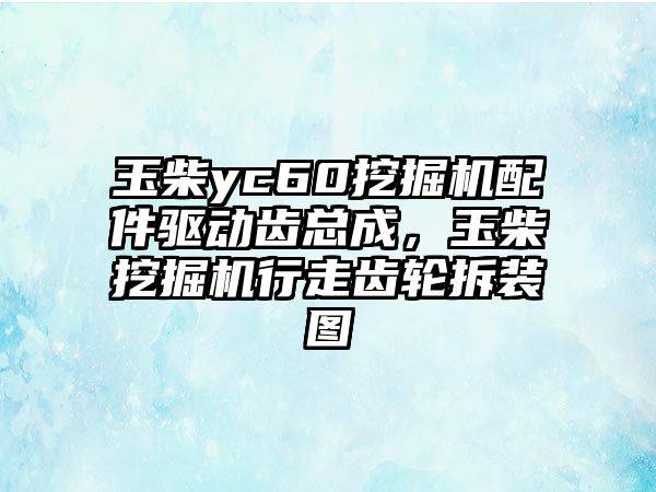 玉柴yc60挖掘機配件驅(qū)動齒總成，玉柴挖掘機行走齒輪拆裝圖