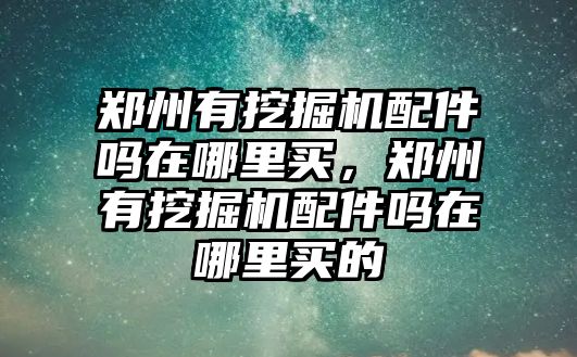 鄭州有挖掘機配件嗎在哪里買，鄭州有挖掘機配件嗎在哪里買的