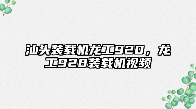 汕頭裝載機龍工920，龍工928裝載機視頻