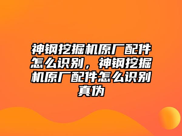 神鋼挖掘機(jī)原廠配件怎么識(shí)別，神鋼挖掘機(jī)原廠配件怎么識(shí)別真?zhèn)?/>	
								</i>
								<p class=