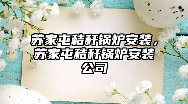 蘇家屯秸稈鍋爐安裝，蘇家屯秸稈鍋爐安裝公司