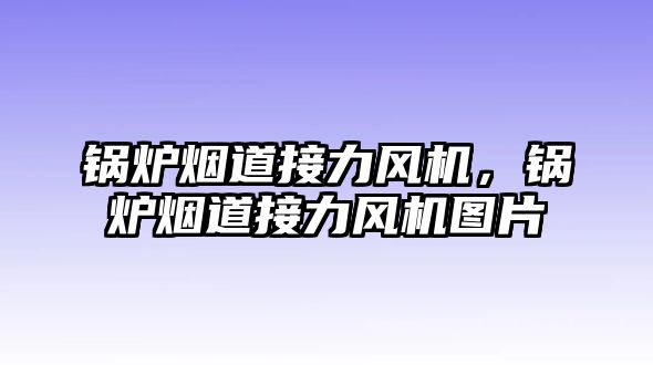 鍋爐煙道接力風機，鍋爐煙道接力風機圖片