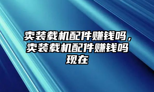 賣裝載機(jī)配件賺錢嗎，賣裝載機(jī)配件賺錢嗎現(xiàn)在