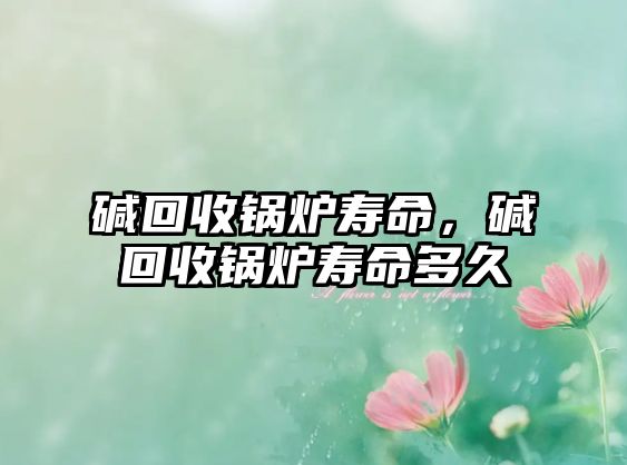 堿回收鍋爐壽命，堿回收鍋爐壽命多久