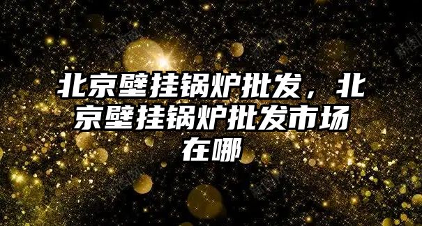 北京壁掛鍋爐批發(fā)，北京壁掛鍋爐批發(fā)市場在哪