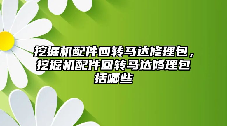 挖掘機配件回轉馬達修理包，挖掘機配件回轉馬達修理包括哪些