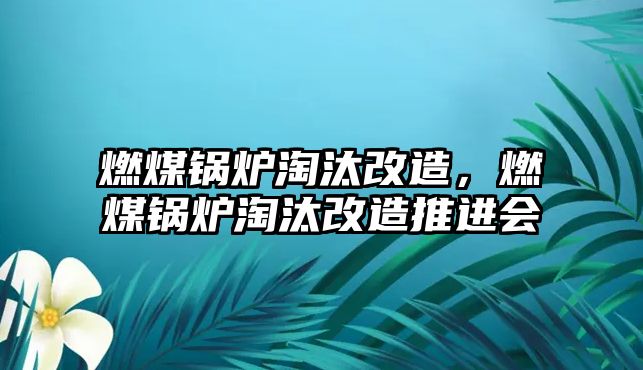 燃煤鍋爐淘汰改造，燃煤鍋爐淘汰改造推進(jìn)會(huì)