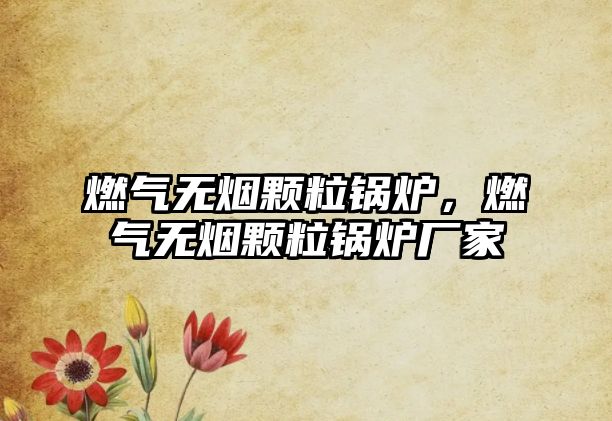 燃?xì)鉄o煙顆粒鍋爐，燃?xì)鉄o煙顆粒鍋爐廠家