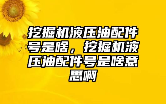 挖掘機(jī)液壓油配件號是啥，挖掘機(jī)液壓油配件號是啥意思啊