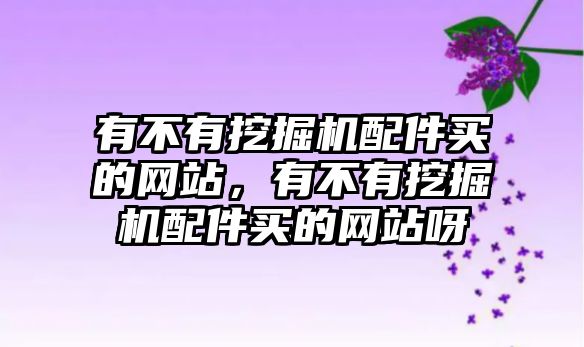 有不有挖掘機配件買的網(wǎng)站，有不有挖掘機配件買的網(wǎng)站呀