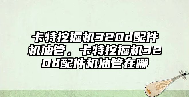 卡特挖掘機(jī)320d配件機(jī)油管，卡特挖掘機(jī)320d配件機(jī)油管在哪