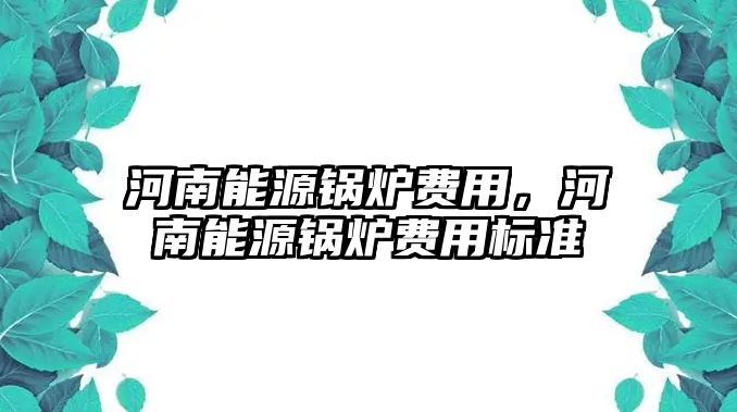 河南能源鍋爐費用，河南能源鍋爐費用標準