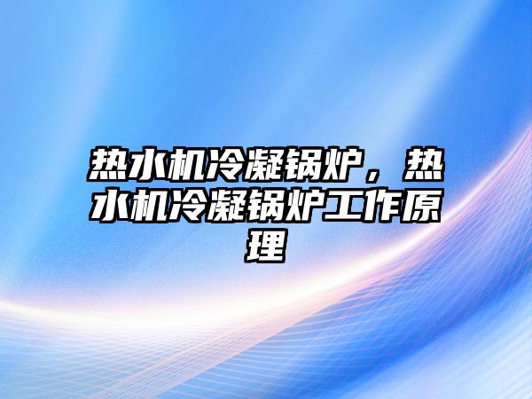 熱水機冷凝鍋爐，熱水機冷凝鍋爐工作原理