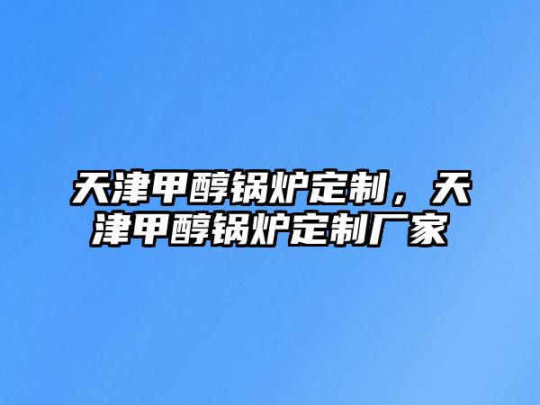 天津甲醇鍋爐定制，天津甲醇鍋爐定制廠家