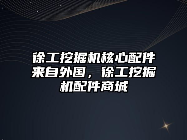 徐工挖掘機核心配件來自外國，徐工挖掘機配件商城