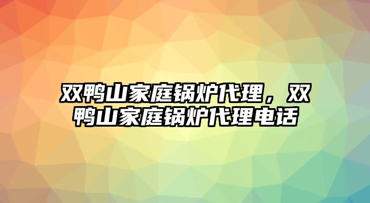 雙鴨山家庭鍋爐代理，雙鴨山家庭鍋爐代理電話