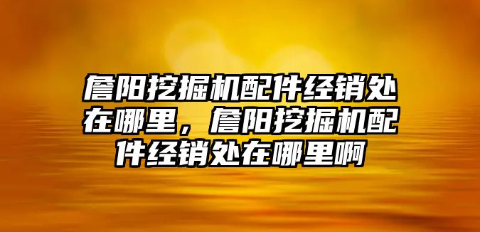 詹陽挖掘機(jī)配件經(jīng)銷處在哪里，詹陽挖掘機(jī)配件經(jīng)銷處在哪里啊