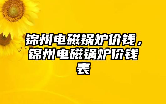 錦州電磁鍋爐價(jià)錢(qián)，錦州電磁鍋爐價(jià)錢(qián)表