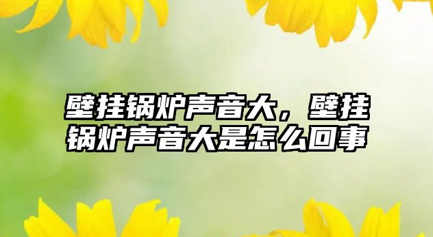 壁掛鍋爐聲音大，壁掛鍋爐聲音大是怎么回事