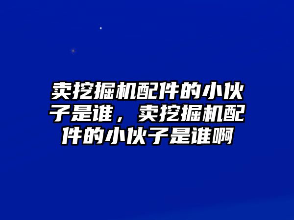 賣挖掘機(jī)配件的小伙子是誰，賣挖掘機(jī)配件的小伙子是誰啊