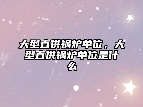 大型直供鍋爐單位，大型直供鍋爐單位是什么