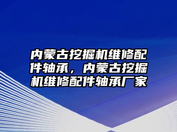 內(nèi)蒙古挖掘機維修配件軸承，內(nèi)蒙古挖掘機維修配件軸承廠家