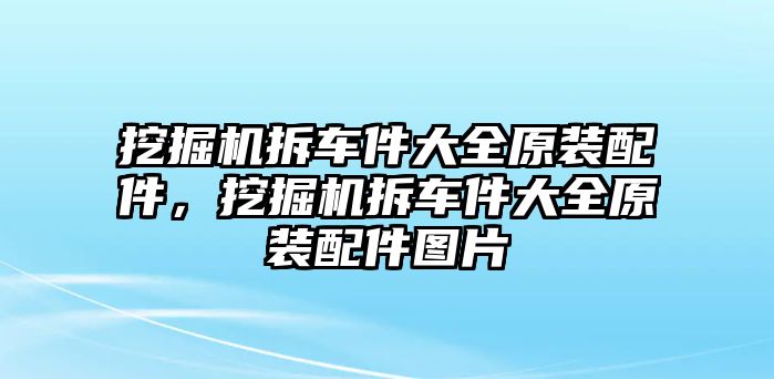 挖掘機(jī)拆車件大全原裝配件，挖掘機(jī)拆車件大全原裝配件圖片