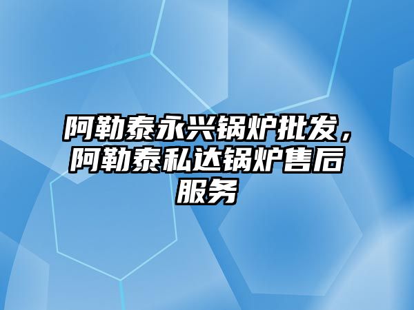 阿勒泰永興鍋爐批發(fā)，阿勒泰私達鍋爐售后服務