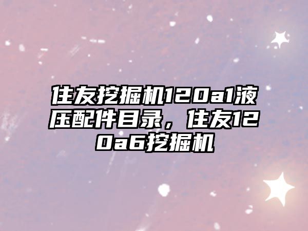 住友挖掘機(jī)120a1液壓配件目錄，住友120a6挖掘機(jī)