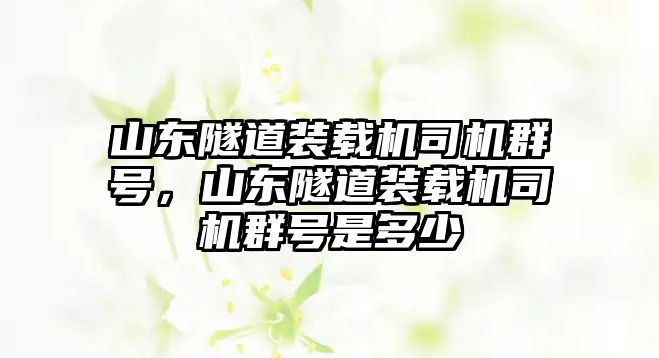 山東隧道裝載機司機群號，山東隧道裝載機司機群號是多少