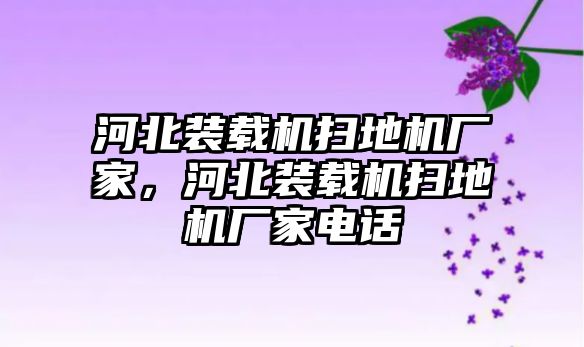 河北裝載機(jī)掃地機(jī)廠家，河北裝載機(jī)掃地機(jī)廠家電話