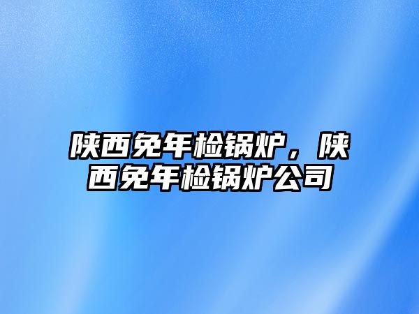 陜西免年檢鍋爐，陜西免年檢鍋爐公司