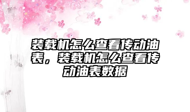 裝載機怎么查看傳動油表，裝載機怎么查看傳動油表數(shù)據(jù)