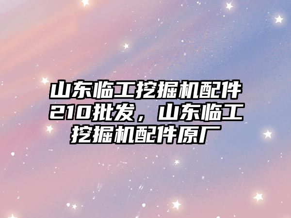 山東臨工挖掘機配件210批發(fā)，山東臨工挖掘機配件原廠