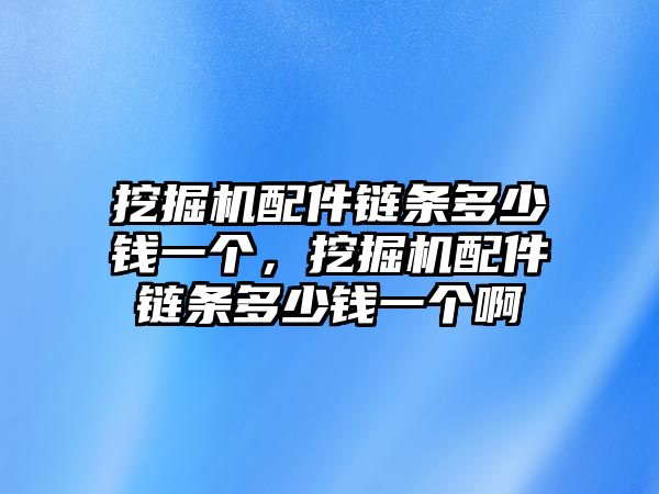 挖掘機(jī)配件鏈條多少錢(qián)一個(gè)，挖掘機(jī)配件鏈條多少錢(qián)一個(gè)啊