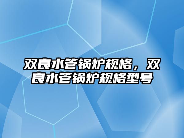 雙良水管鍋爐規(guī)格，雙良水管鍋爐規(guī)格型號(hào)