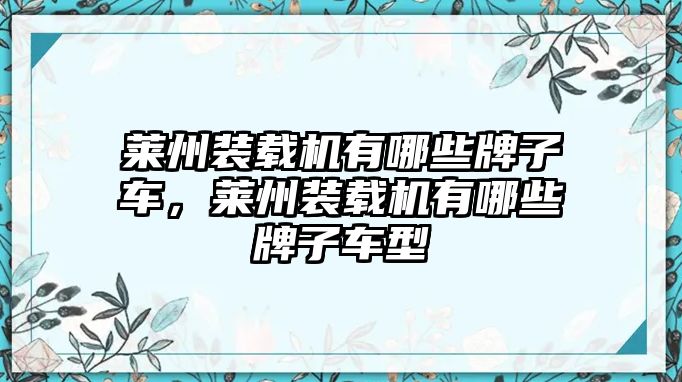 萊州裝載機(jī)有哪些牌子車(chē)，萊州裝載機(jī)有哪些牌子車(chē)型