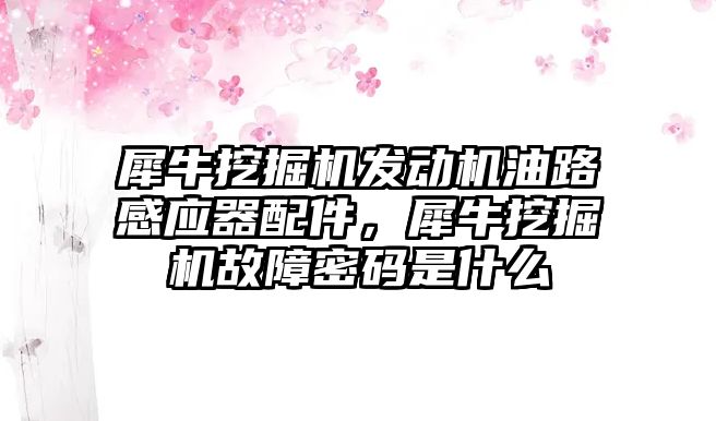 犀牛挖掘機發(fā)動機油路感應(yīng)器配件，犀牛挖掘機故障密碼是什么