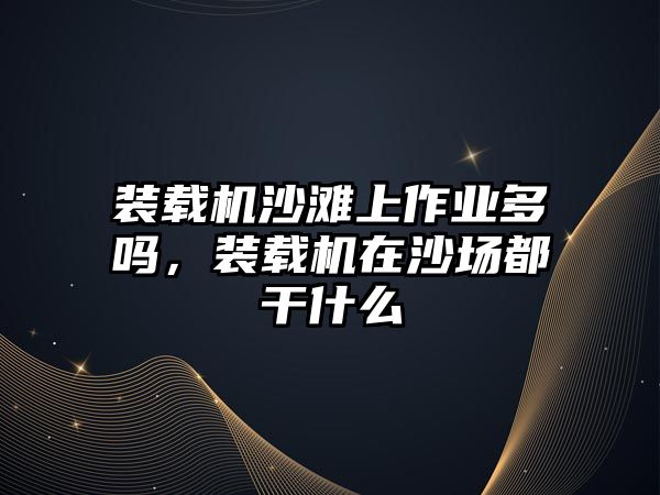 裝載機沙灘上作業(yè)多嗎，裝載機在沙場都干什么