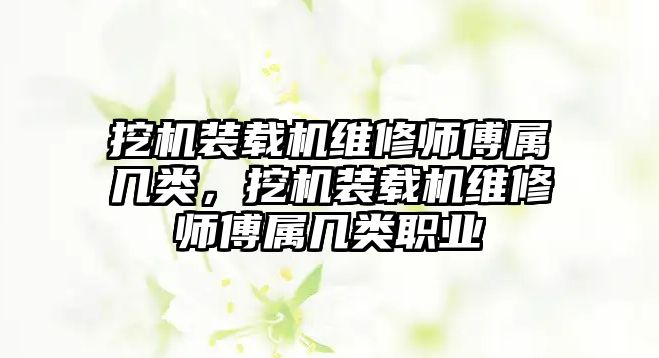 挖機裝載機維修師傅屬幾類，挖機裝載機維修師傅屬幾類職業(yè)