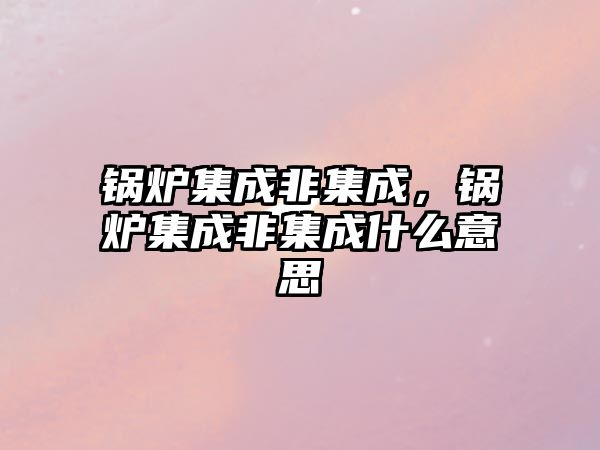 鍋爐集成非集成，鍋爐集成非集成什么意思