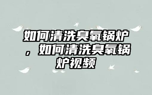 如何清洗臭氧鍋爐，如何清洗臭氧鍋爐視頻