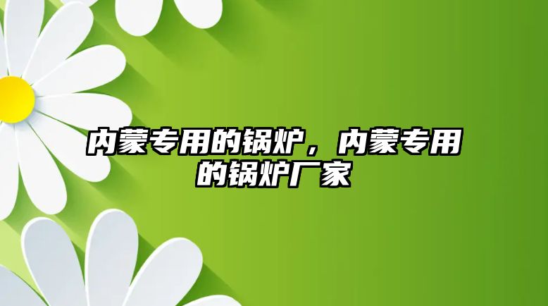 內(nèi)蒙專用的鍋爐，內(nèi)蒙專用的鍋爐廠家