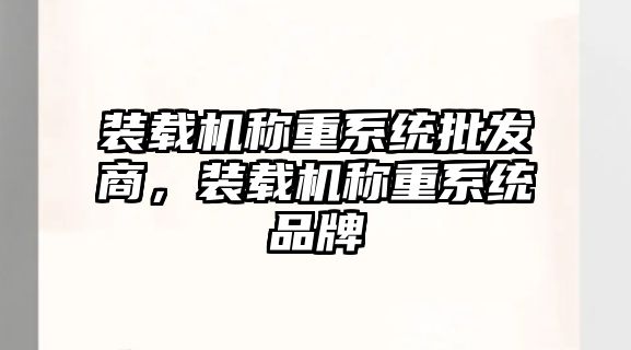 裝載機(jī)稱重系統(tǒng)批發(fā)商，裝載機(jī)稱重系統(tǒng)品牌