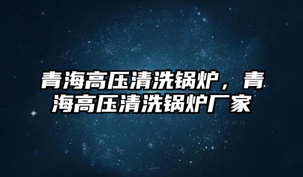 青海高壓清洗鍋爐，青海高壓清洗鍋爐廠家